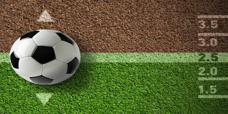 Bật mí cách đọc kèo xỉu 2.75