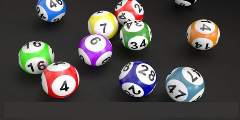 Bí kíp nuôi dàn 50 số chuẩn cần nhớ