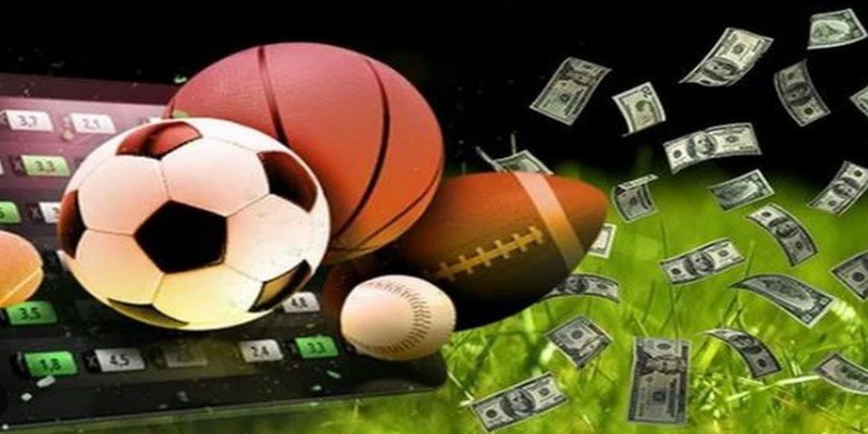 Các siêu phẩm thể thao